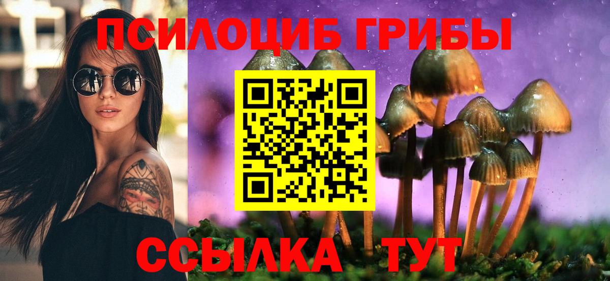 Знаменск  Псилоцибиновые грибы прущие грибы  купить наркоту  Вход с VPN 
